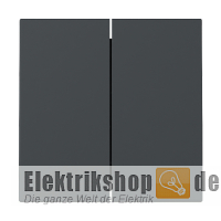 Wippe Serien System 55 anthrazit 329528 Gira