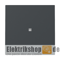 Wippe mit Kontroll-Fenster System 55 anthrazit 329028 Gira