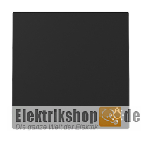 Wippe Symbol Licht schwarz matt 3285005 Gira