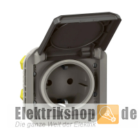 Steckdose 1-fach Einsatz Plexo New FRAP anthrazit 069871L Legrand