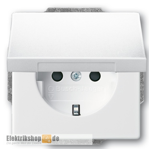 Busch-Jaeger SCHUKO® Steckdosen-Einsatz mit 2x USB-Steckdose