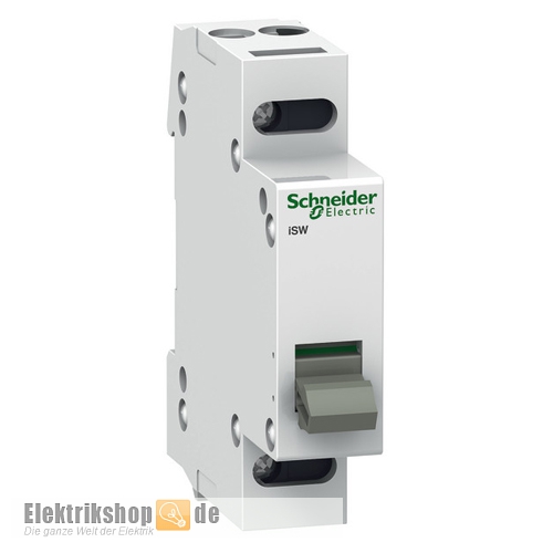 Schneider Electric NSYAEDH180S3D  Türscharniere für Gehäuse