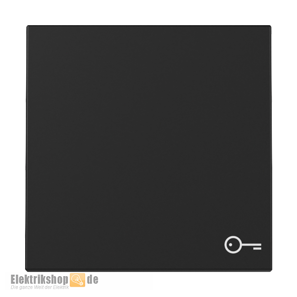 Wippe Symbol Tür schwarz matt 3287005 Gira